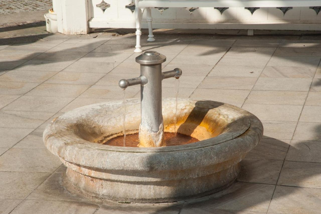 Spa Moser Apartments Karlovy Vary Bagian luar foto